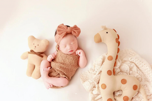 衡阳宝宝虾的做法